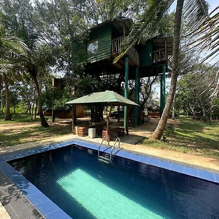 Yala Eco Tree House New Hotel Tissamaharama Buitenkant foto