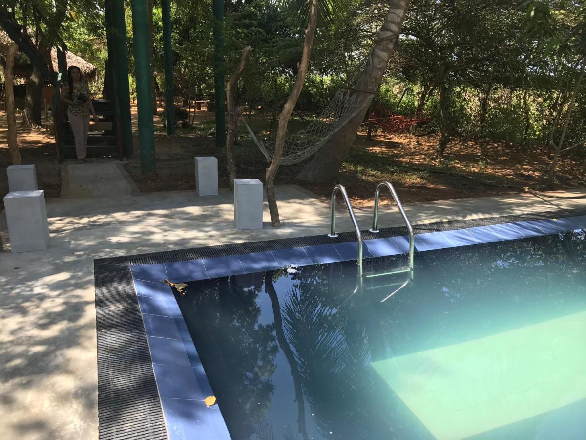 Yala Eco Tree House New Hotel Tissamaharama Buitenkant foto