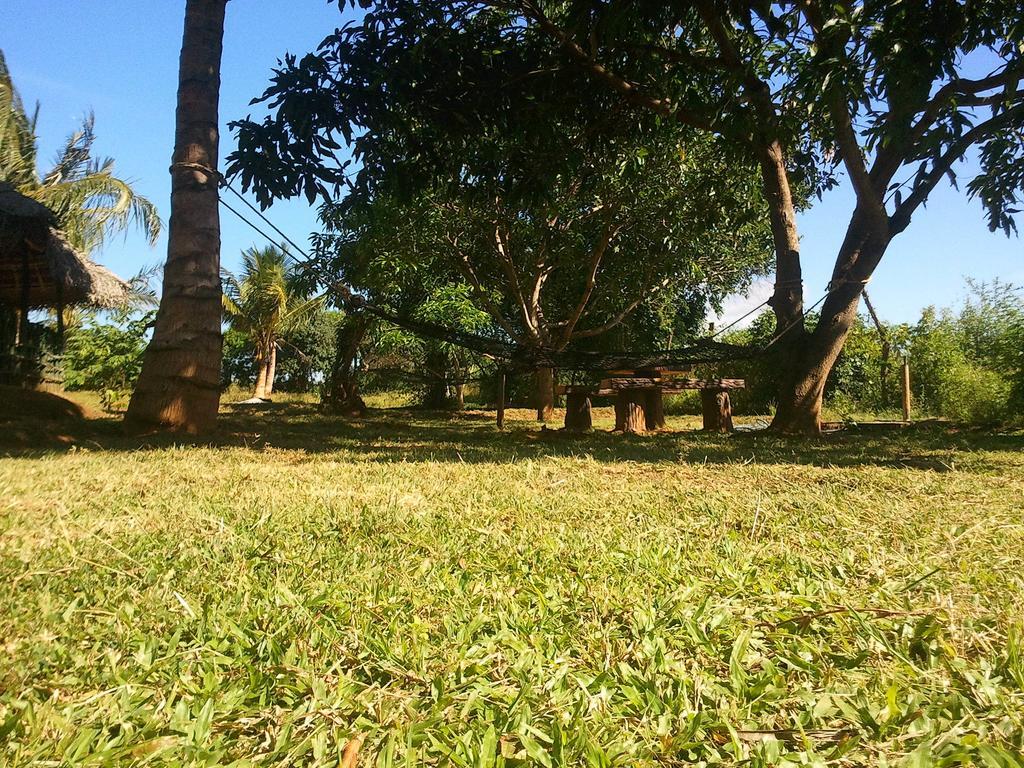 Yala Eco Tree House New Hotel Tissamaharama Buitenkant foto