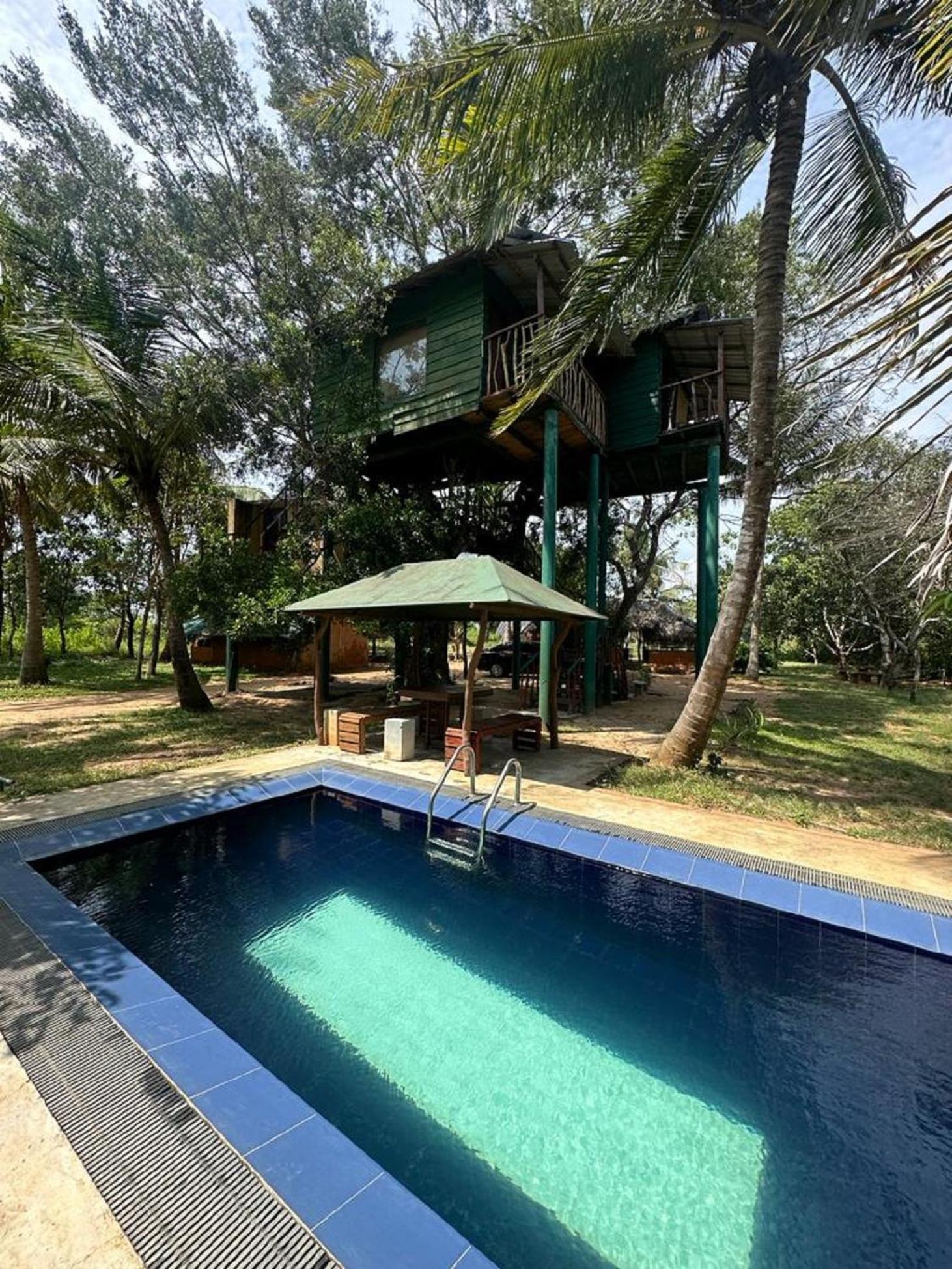 Yala Eco Tree House New Hotel Tissamaharama Buitenkant foto