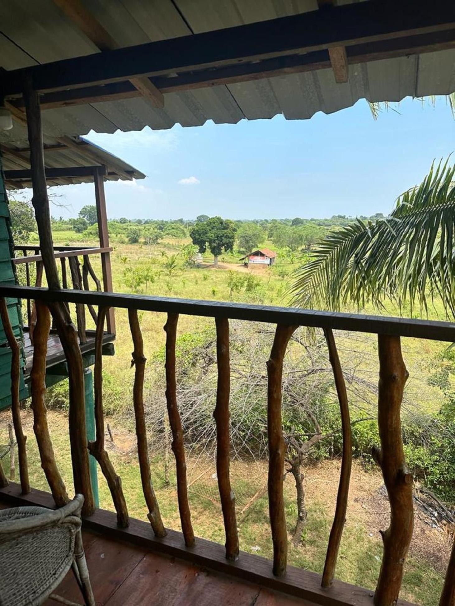 Yala Eco Tree House New Hotel Tissamaharama Buitenkant foto