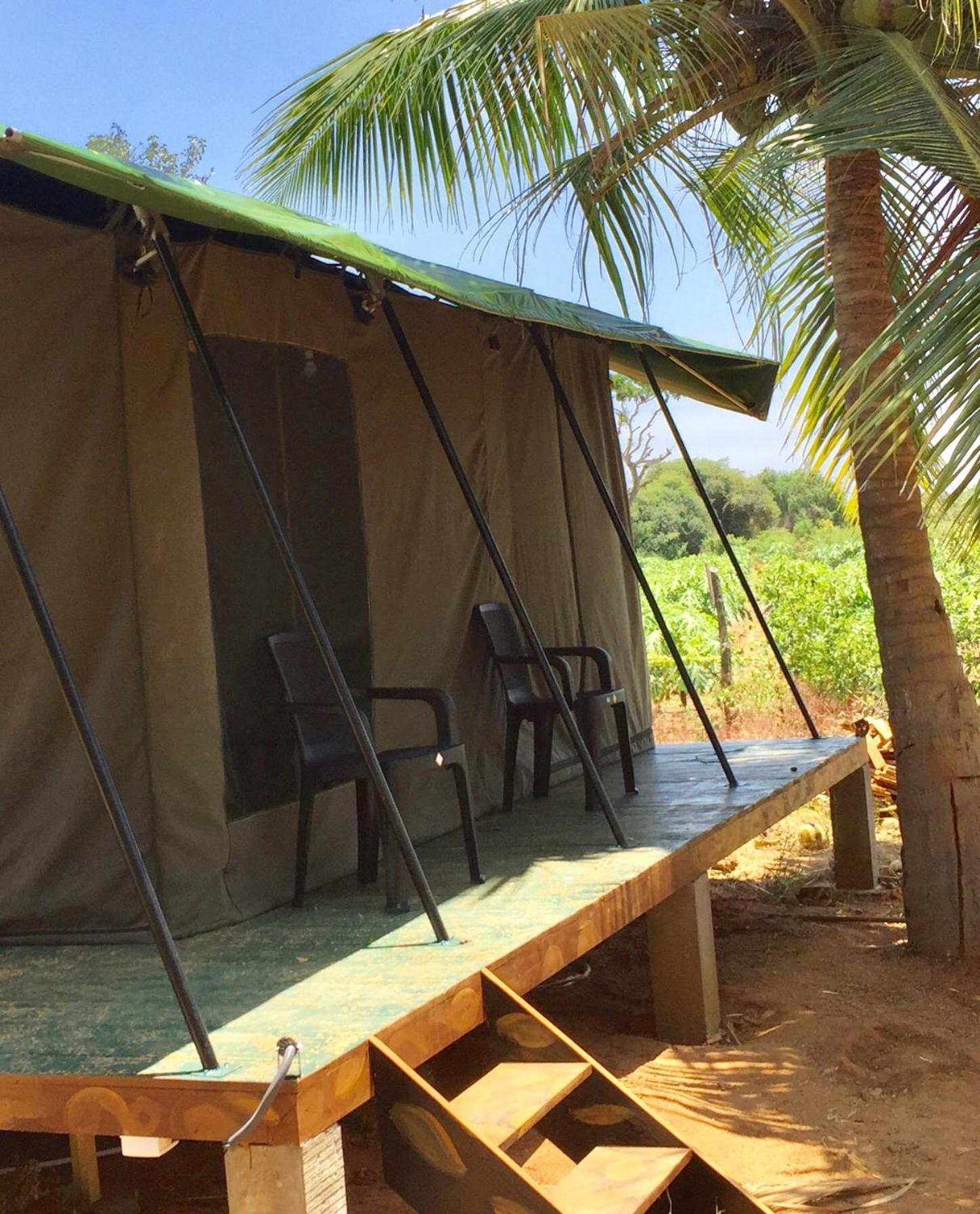 Yala Eco Tree House New Hotel Tissamaharama Buitenkant foto