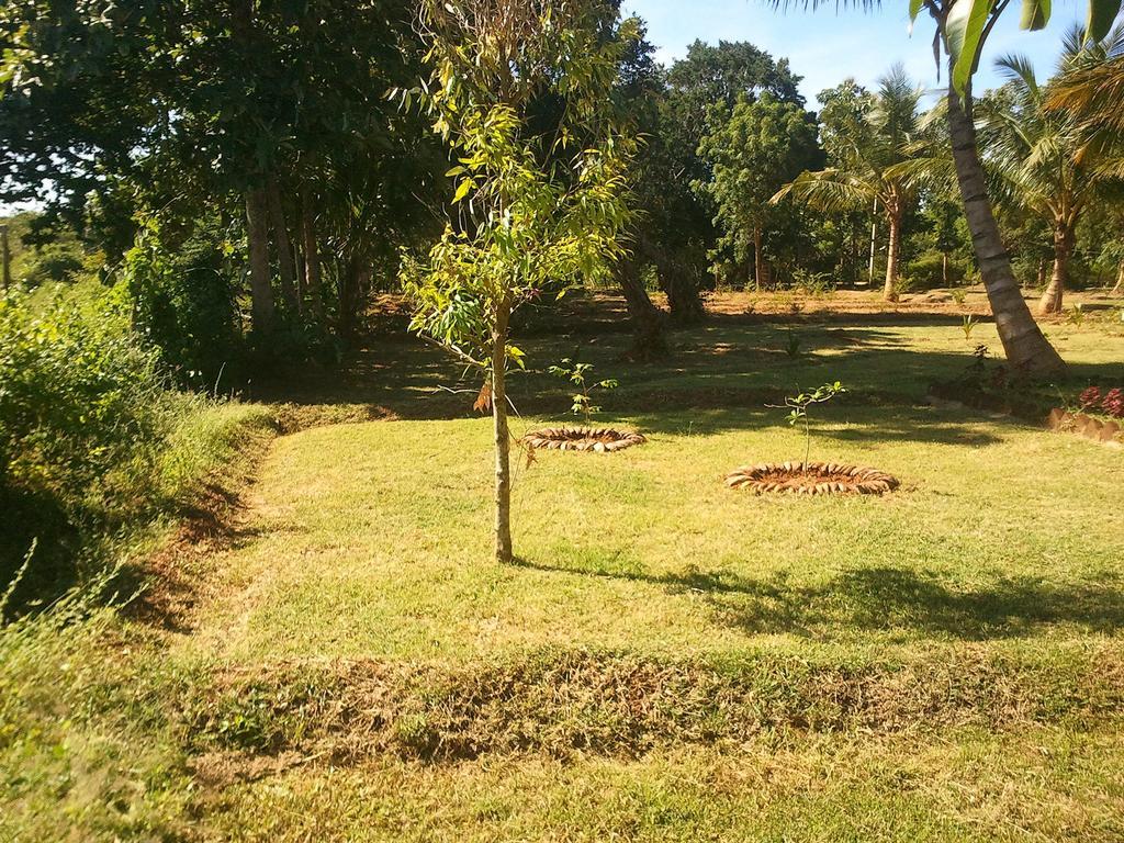 Yala Eco Tree House New Hotel Tissamaharama Buitenkant foto