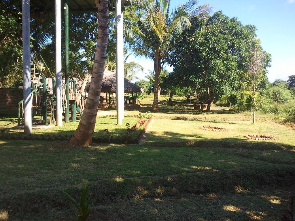 Yala Eco Tree House New Hotel Tissamaharama Buitenkant foto
