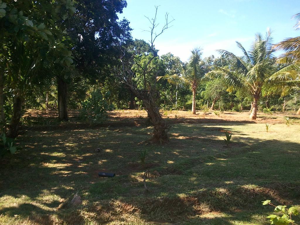 Yala Eco Tree House New Hotel Tissamaharama Buitenkant foto