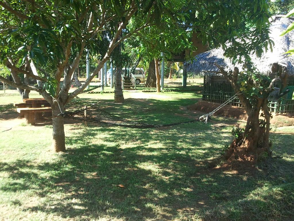 Yala Eco Tree House New Hotel Tissamaharama Buitenkant foto