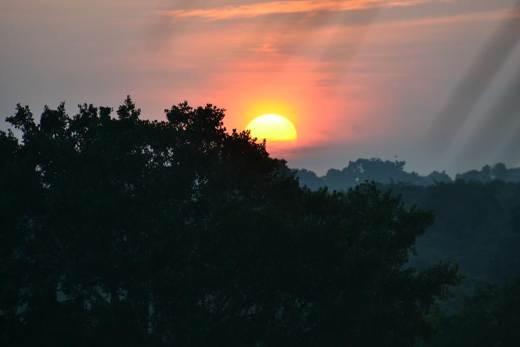Yala Eco Tree House New Hotel Tissamaharama Buitenkant foto