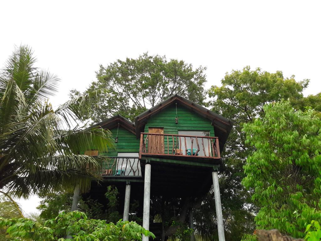 Yala Eco Tree House New Hotel Tissamaharama Buitenkant foto