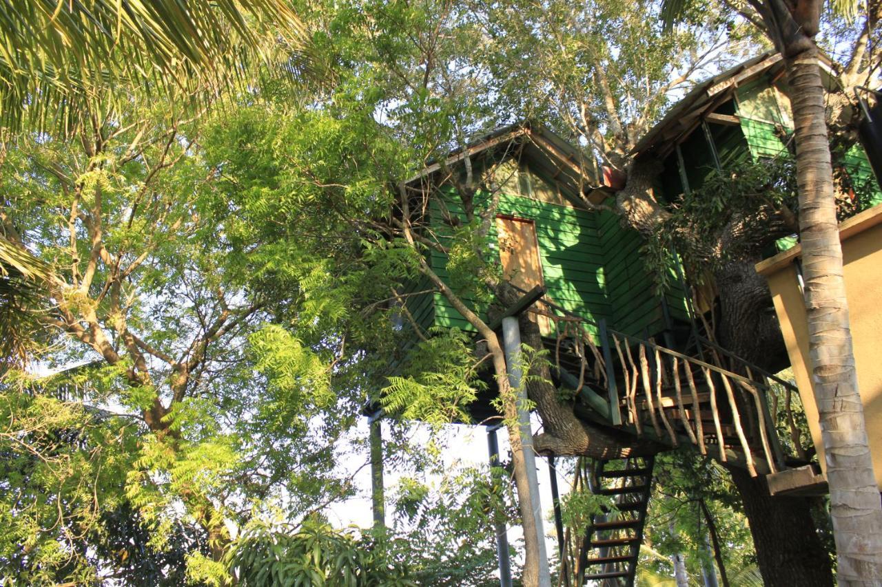 Yala Eco Tree House New Hotel Tissamaharama Buitenkant foto