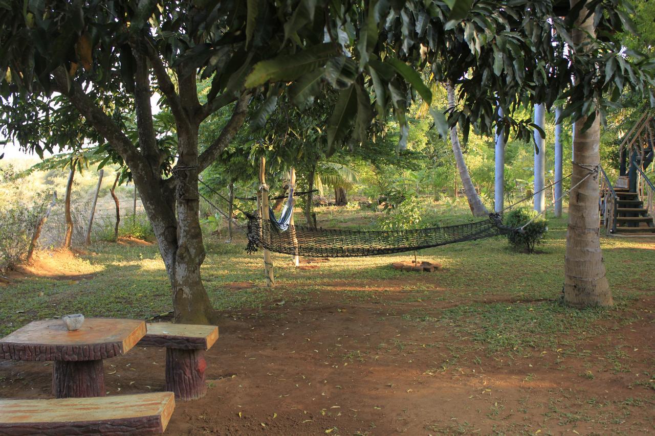Yala Eco Tree House New Hotel Tissamaharama Buitenkant foto