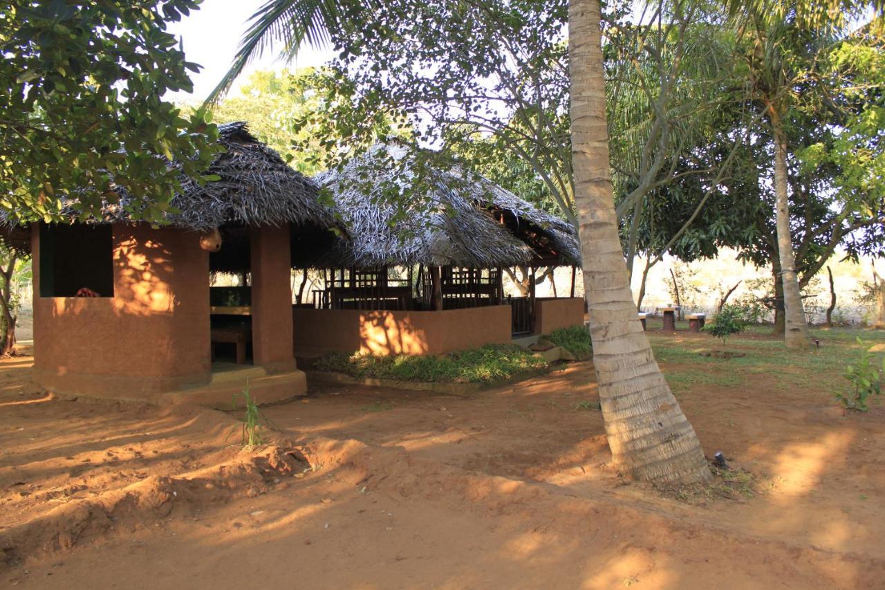 Yala Eco Tree House New Hotel Tissamaharama Buitenkant foto