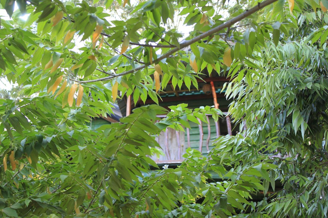 Yala Eco Tree House New Hotel Tissamaharama Buitenkant foto