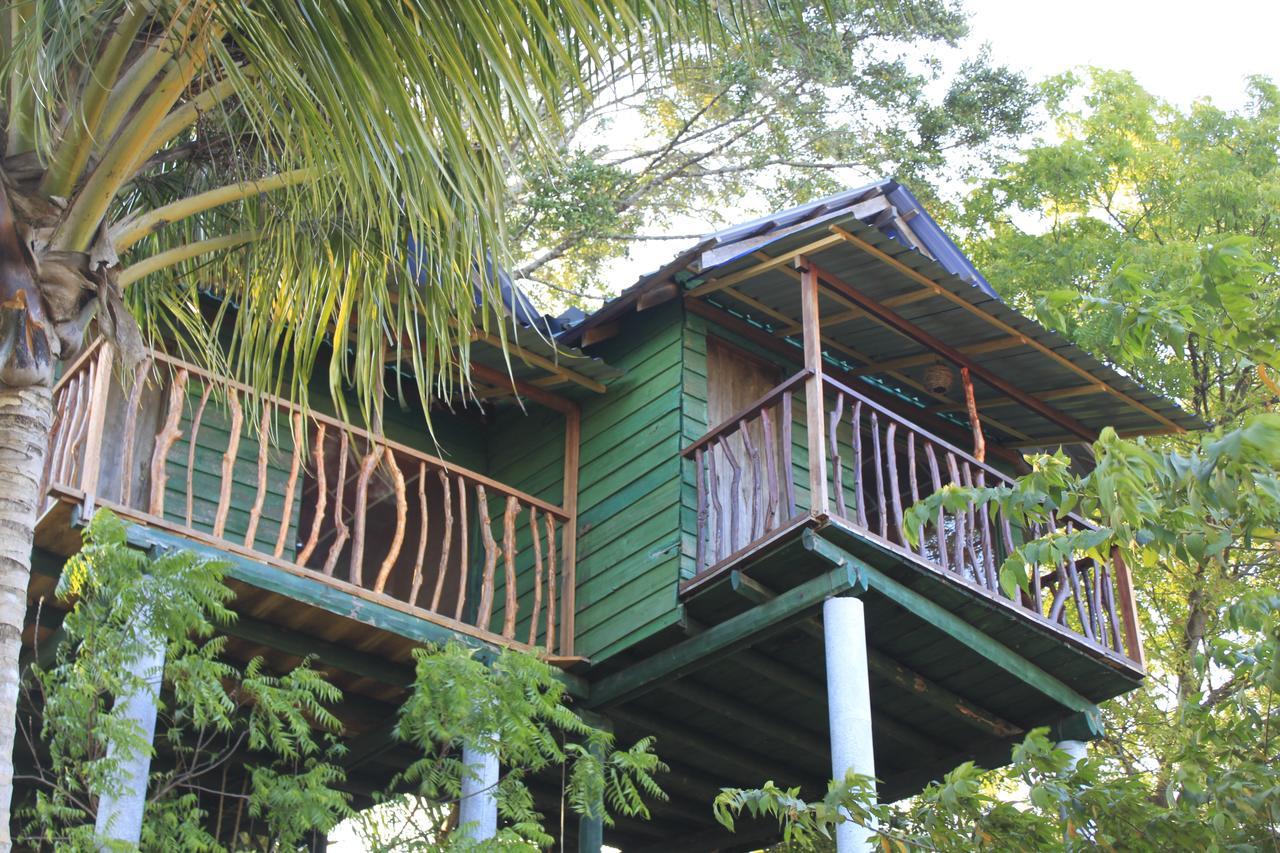 Yala Eco Tree House New Hotel Tissamaharama Buitenkant foto