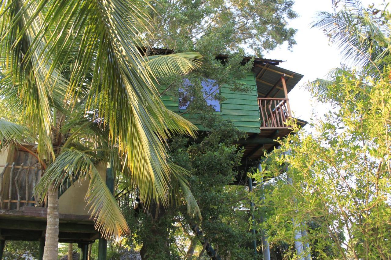 Yala Eco Tree House New Hotel Tissamaharama Buitenkant foto