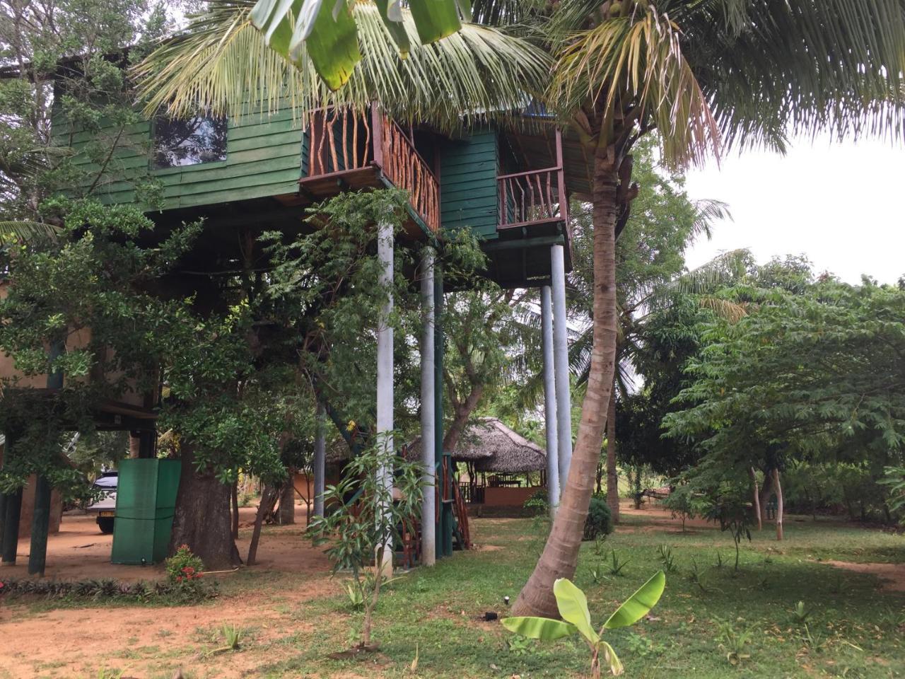 Yala Eco Tree House New Hotel Tissamaharama Buitenkant foto