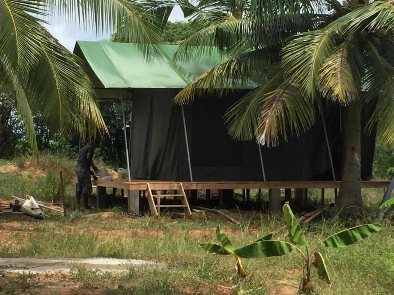 Yala Eco Tree House New Hotel Tissamaharama Buitenkant foto