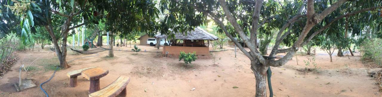 Yala Eco Tree House New Hotel Tissamaharama Buitenkant foto
