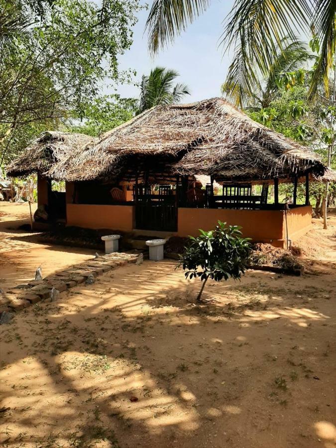 Yala Eco Tree House New Hotel Tissamaharama Buitenkant foto