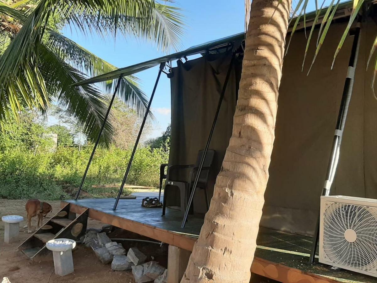 Yala Eco Tree House New Hotel Tissamaharama Buitenkant foto