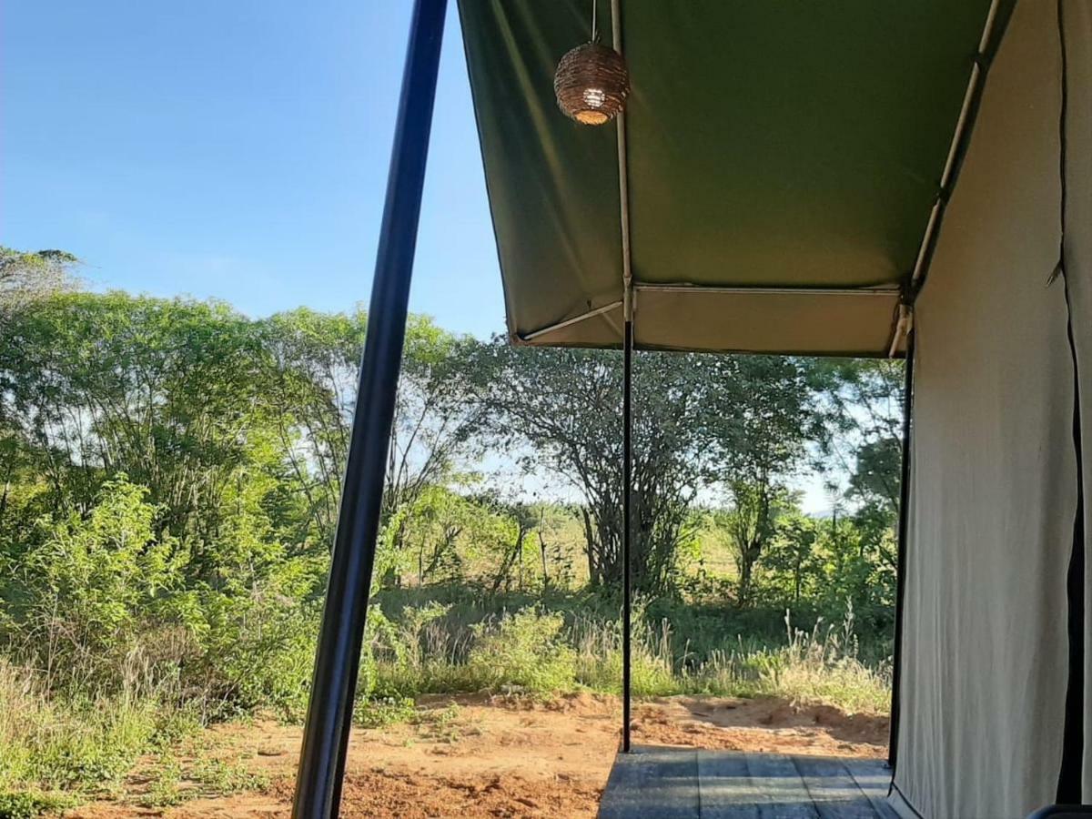 Yala Eco Tree House New Hotel Tissamaharama Buitenkant foto