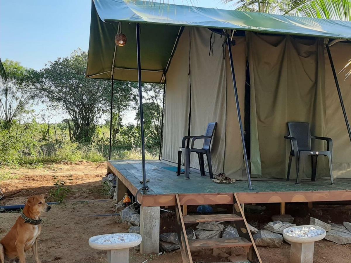 Yala Eco Tree House New Hotel Tissamaharama Buitenkant foto