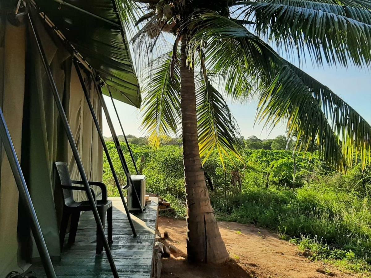 Yala Eco Tree House New Hotel Tissamaharama Buitenkant foto