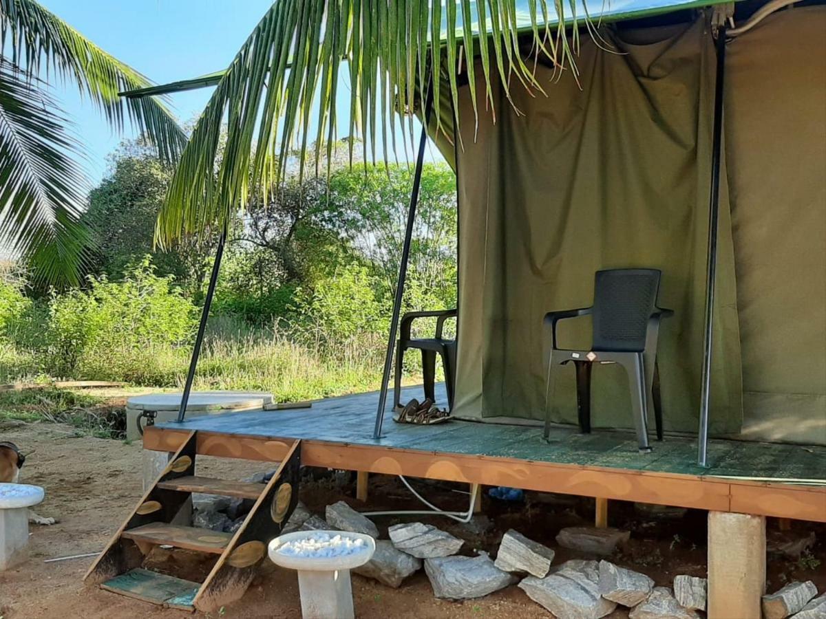 Yala Eco Tree House New Hotel Tissamaharama Buitenkant foto