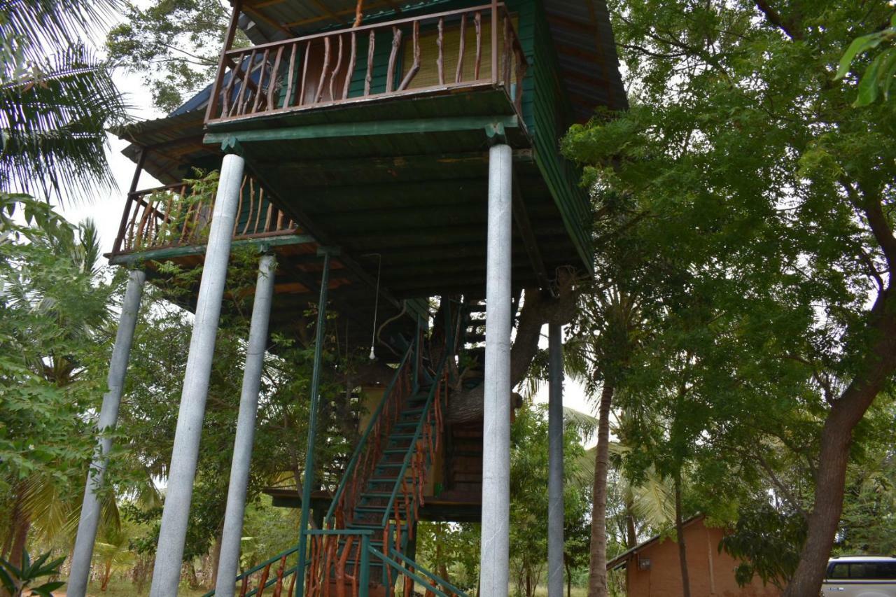 Yala Eco Tree House New Hotel Tissamaharama Buitenkant foto