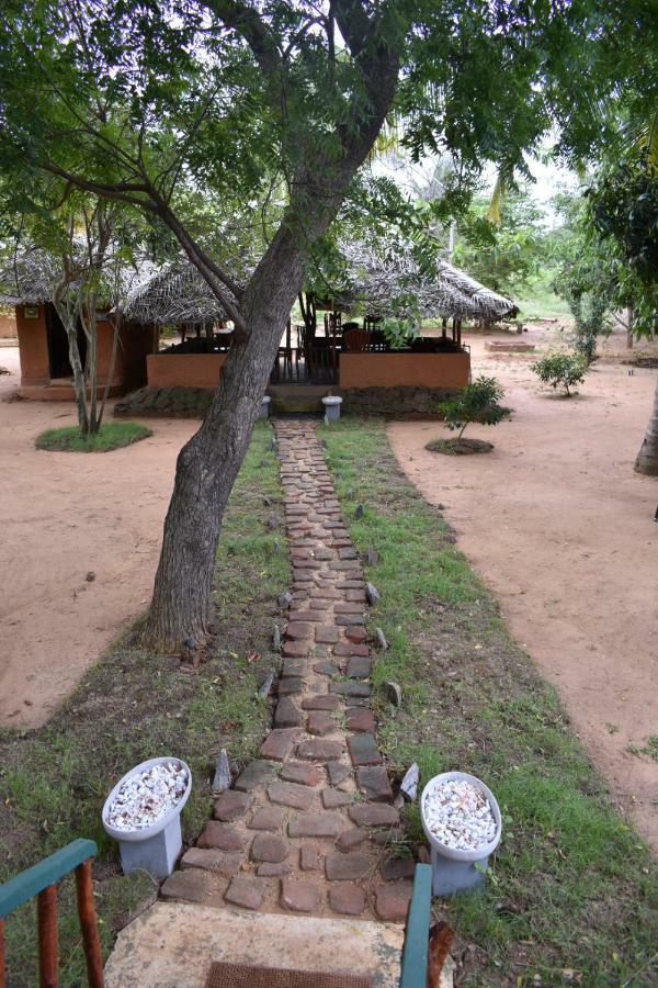 Yala Eco Tree House New Hotel Tissamaharama Buitenkant foto